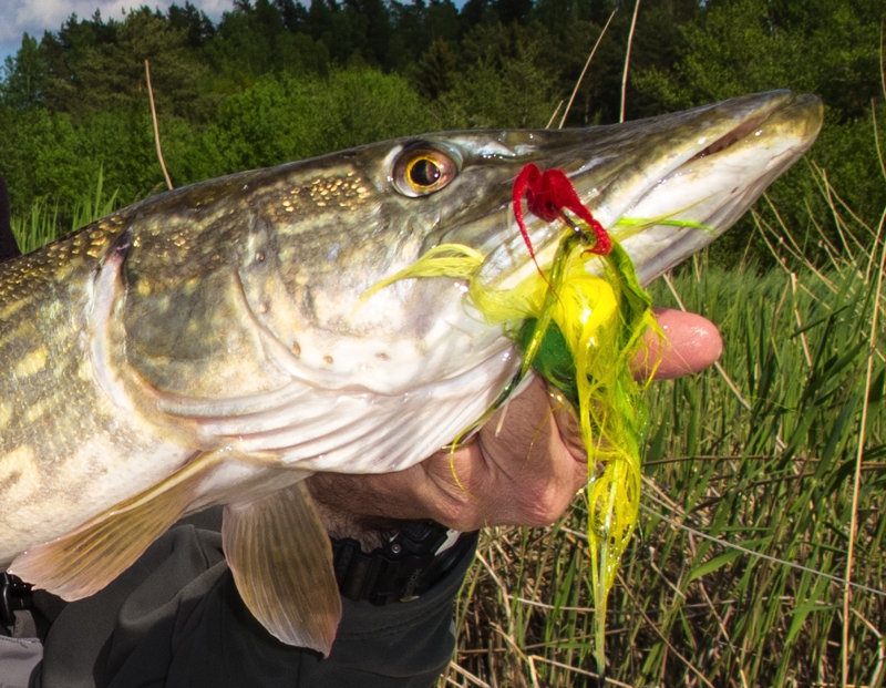 contenu manquant